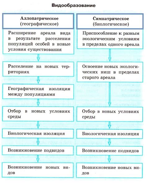 Почему изоляция важна в эволюции 11 класса?