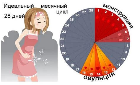 Почему менструация длится 14 дней: ключевые факторы и пути решения