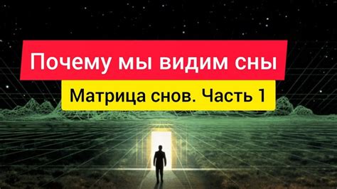 Почему мы видим сны?