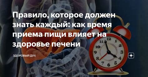 Почему необходимо знать оптимальное время приема?