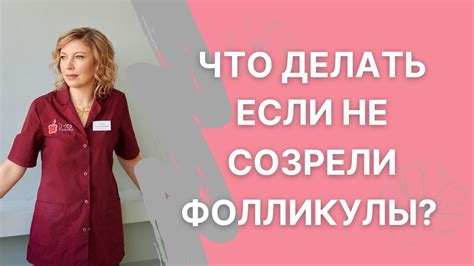 Почему нет фолликул в яичниках?