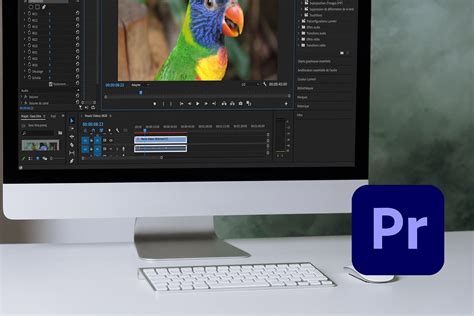 Почему не работают эффекты в Adobe Premiere Pro