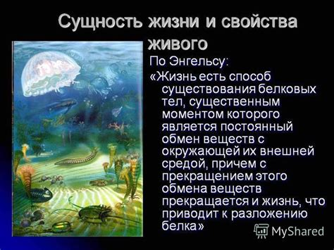 Почему определение понятия жизни в биологии сложно для 5 класса?