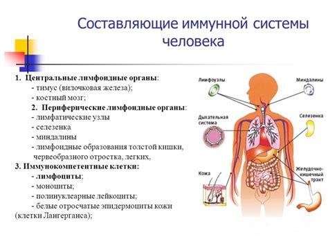 Почему организм является открытой системой: причины и механизмы