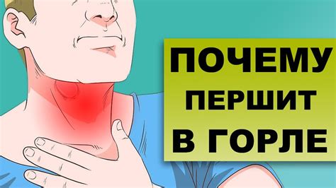 Почему першит в горле?