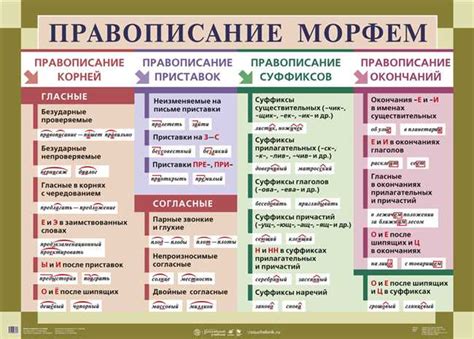 Почему пишется "солдат", а не "солдат": основные правила написания в русском языке