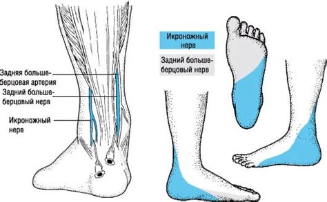 Почему правая нога может неметь?