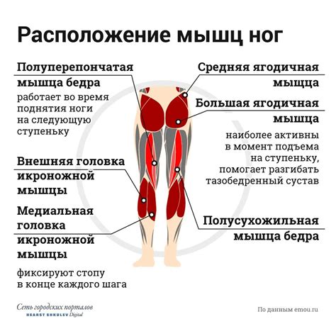 Почему приседания вызывают боль в ногах, а не в ягодицах?