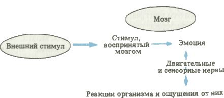 Почему сновидения о разрыве вызывают эмоциональную реакцию?