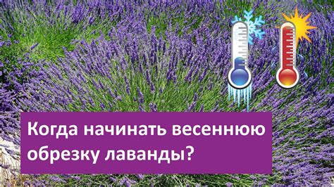 Почему стоит подождать?