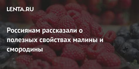 Почему так загадочен сон о таинственной ягоде смородины?