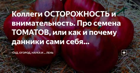 Почему требуется осторожность: главные факторы и негативные последствия