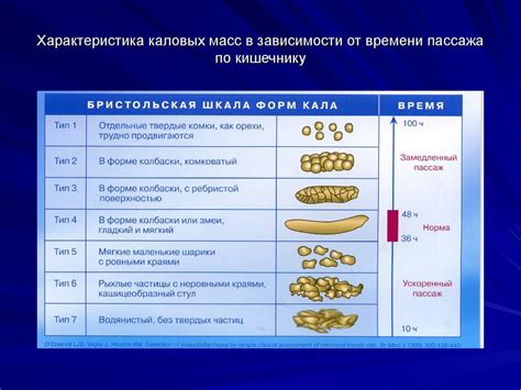 Почему фекальные массы плавают