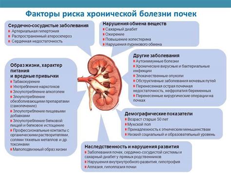 Почечная недостаточность: что есть и пить