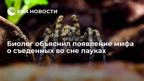 Появление грызуна во сне: разгадка символического проявления