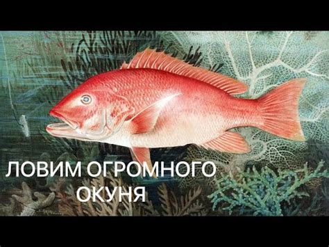 Появление огромного морского создания во сне