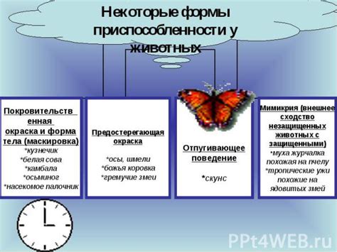 Появление приспособленности у организмов: ключевые факторы и механизмы