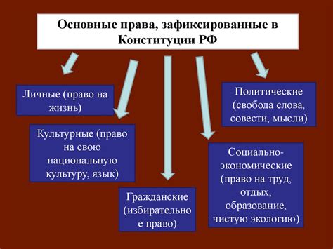 Права, свободы и обязанности