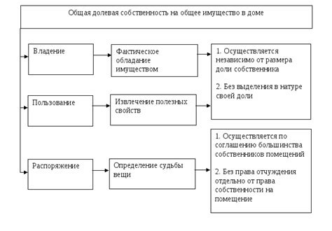 Права и обязанности владельцев долей