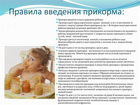 Правила введения новых продуктов