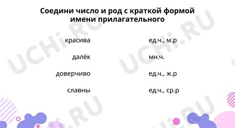 Правила записи краткой формы имени прилагательного