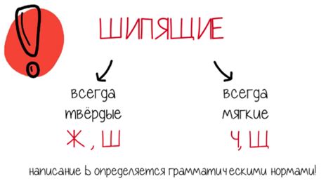 Правила написания после "ж" и "ч"