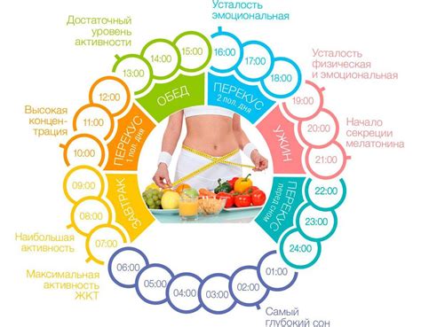 Правильная пища и режим питания