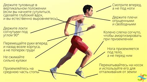 Правильная техника сбора