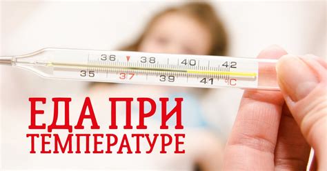 Правильное питание при высокой температуре