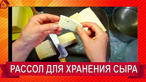 Правильное упаковывание сыра для длительного хранения