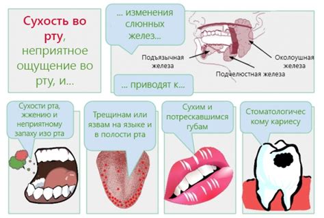 Правильные методы устранения собачьих камней во рту