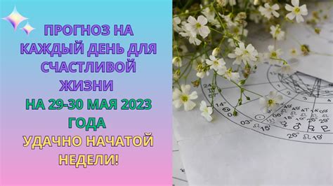 Праздник долгой и счастливой жизни в снах: прогноз для супружеского благополучия