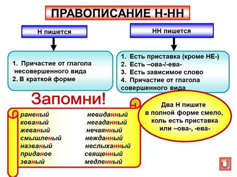 Практические примеры написания слова "увлеченно" с двумя "н"