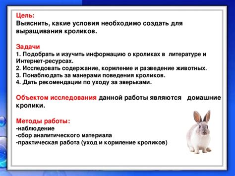 Практические рекомендации по толкованию снов о кроликах и их возможное применение