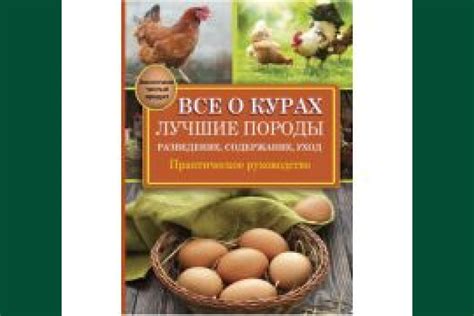 Практические советы по расшифровке снов о живых курах в домашней обстановке