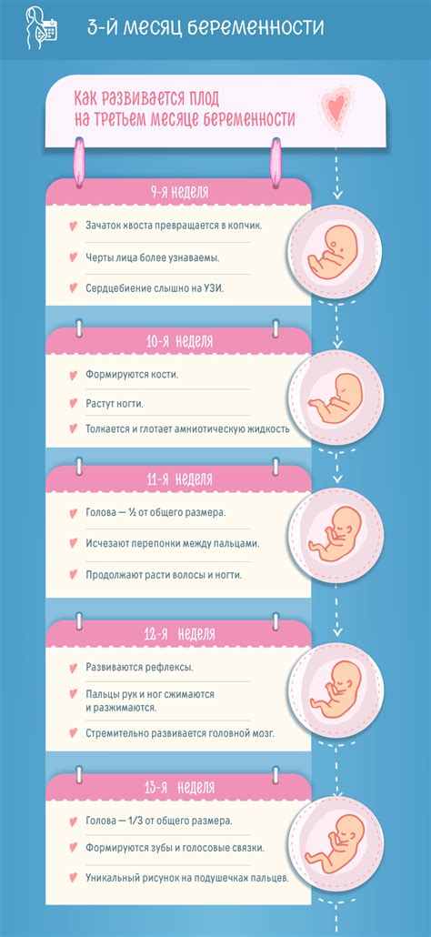 Практические советы по управлению сновидениями о беременности и снятию беспокойства