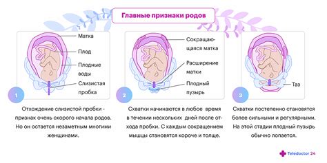 Предвестники неожиданных перемещений