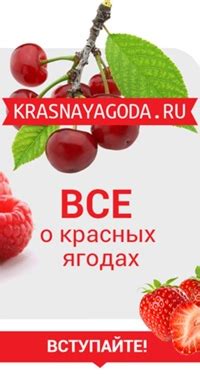 Предвидеть будущие события с помощью снов о красных ягодах