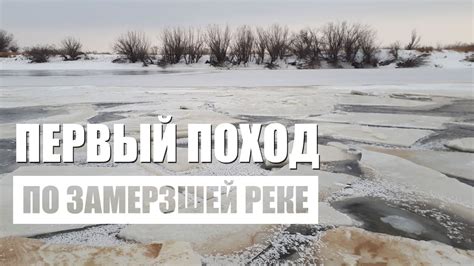 Предсказание состояния здоровья по сну о замерзшей воде в реке со щупальцами