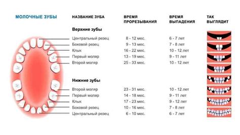 Предупреждение выпадения зубов во время сна: практические советы