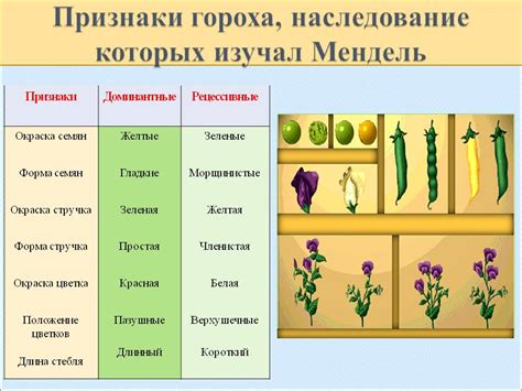 Преимущества бражки с горохом