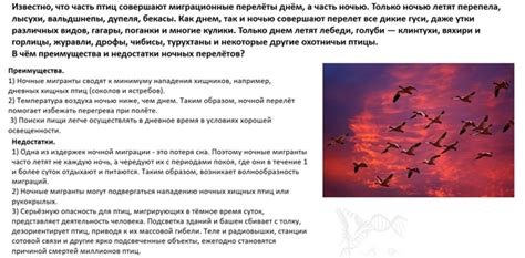 Преимущества миграции для птиц