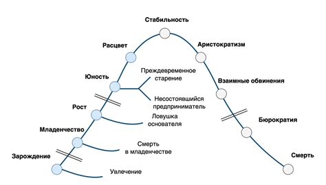 Преимущества применения модели Адизеса