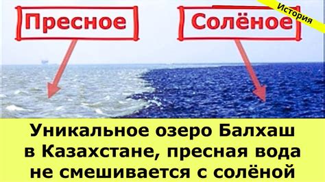 Пресная и соленая вода