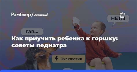 Привыкание к ручному кормлению