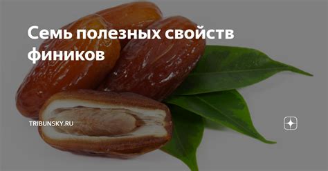 Приготовление полезных лакомств из фиников на зиму