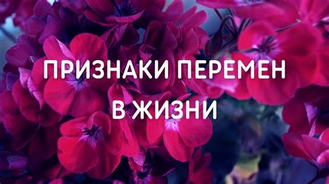 Признаки возникновения романтических перемен в жизни