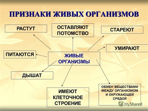 Признаки живых организмов