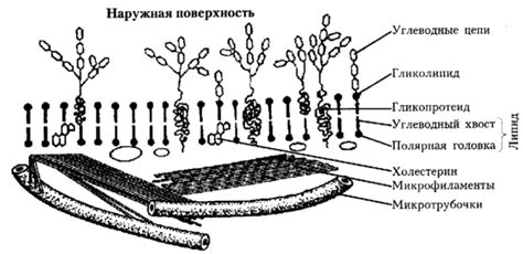 Признаки повреждения мембраны на комбинезоне