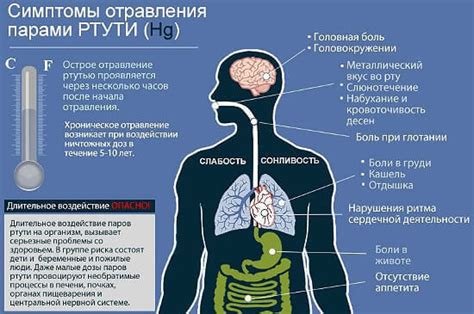 Признаки ртутного загрязнения